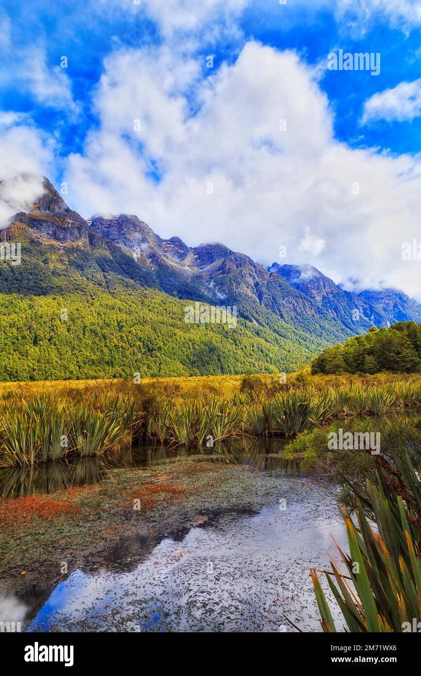 Mirror lakes in Fiordlands of Milford Sound in New Zealand - scenic landscape. Stock Photo