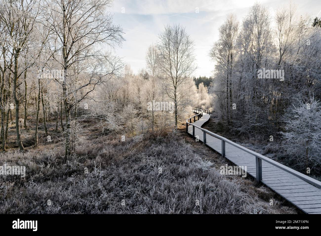 Frosty winter landscape with the low winter sun shining over the wooden plank path above the Mecklenbruch raised bog, Solling-Vogler, Germany Stock Photo