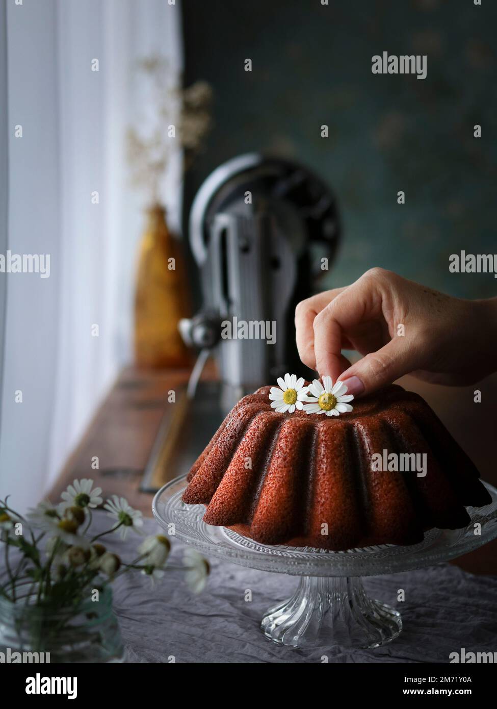 Citrus bundt cake decorated with flowers on a glass stand next to the window Stock Photo