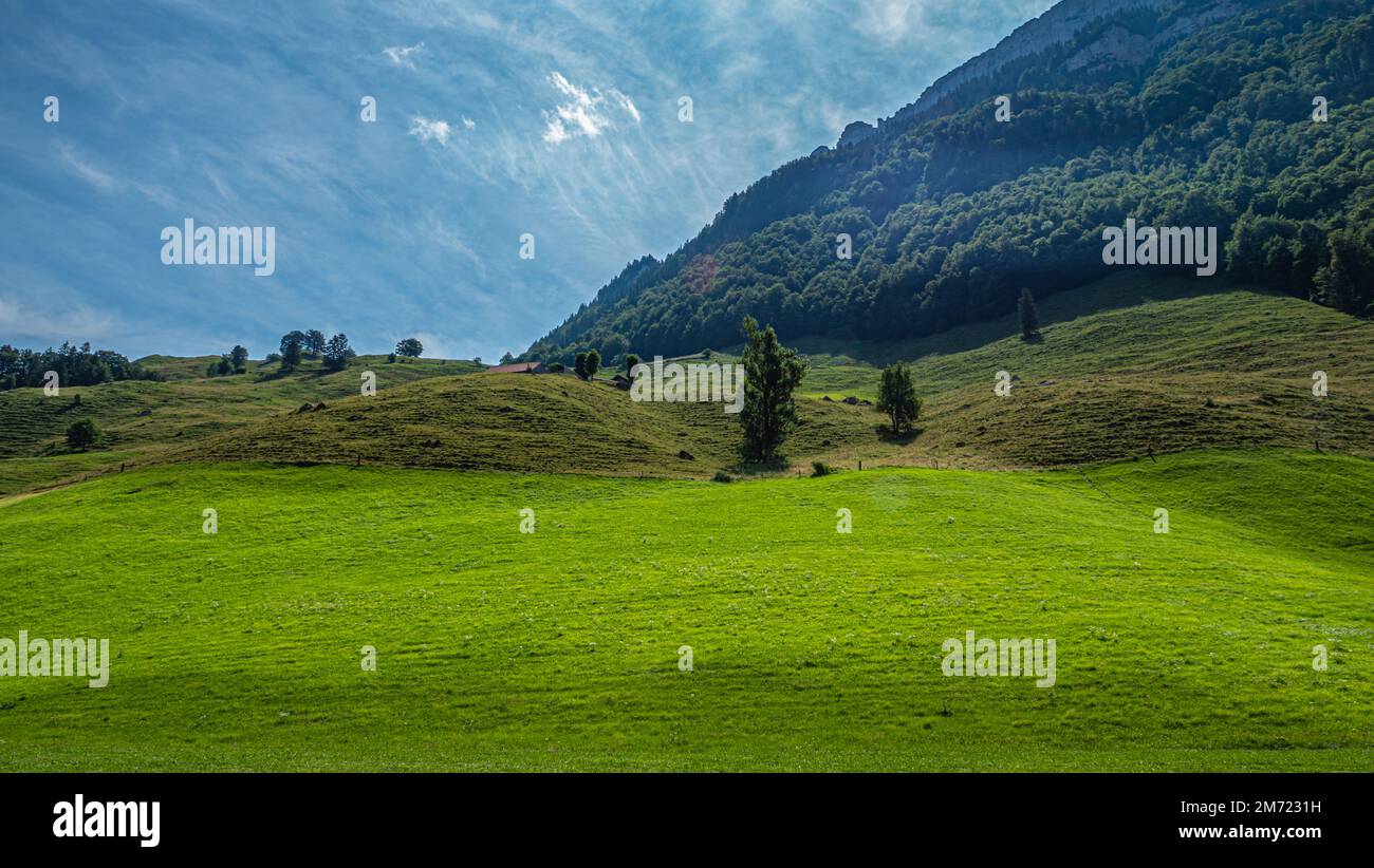 Typical view in the Swiss Alps - amazing Switzerland Stock Photo - Alamy