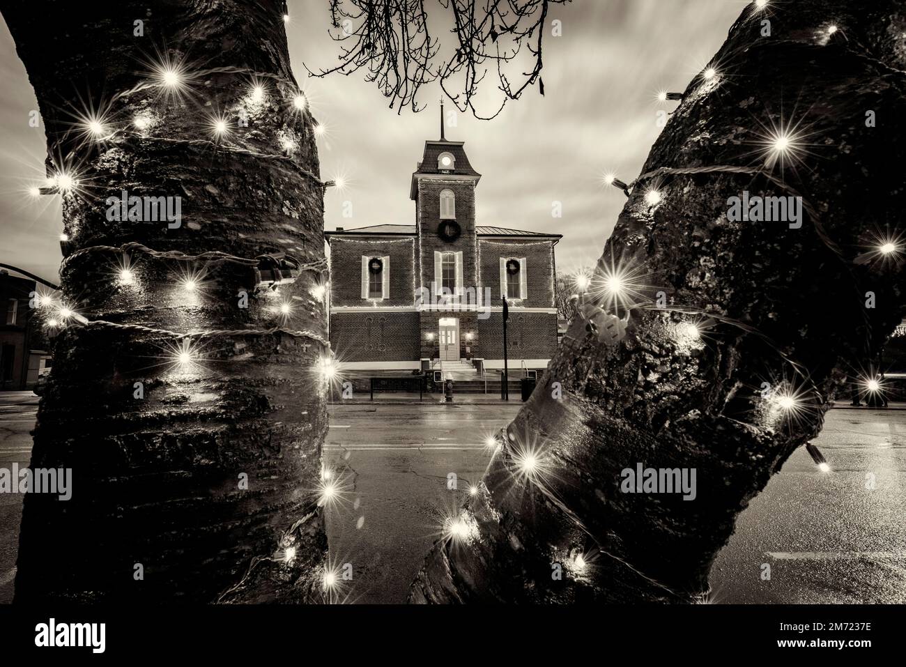 Holiday Lights at the Transylvania County Courthouse - Main Street, Brevard, North Carolina, USA [Black & White Version] Stock Photo