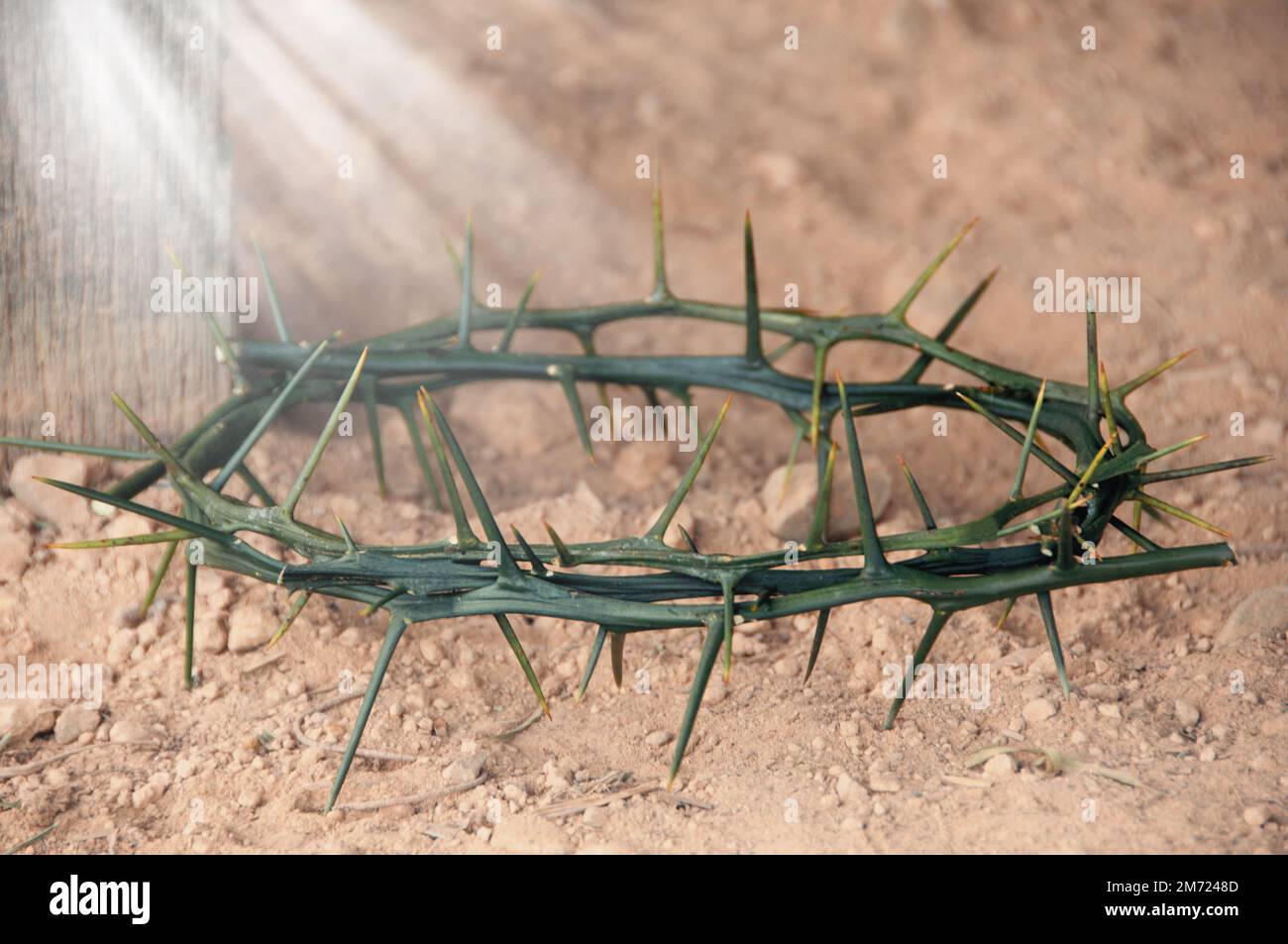 Crown of thorns with customizable space for the and Christian quotes. Copy space and Christianity concept. Stock Photo