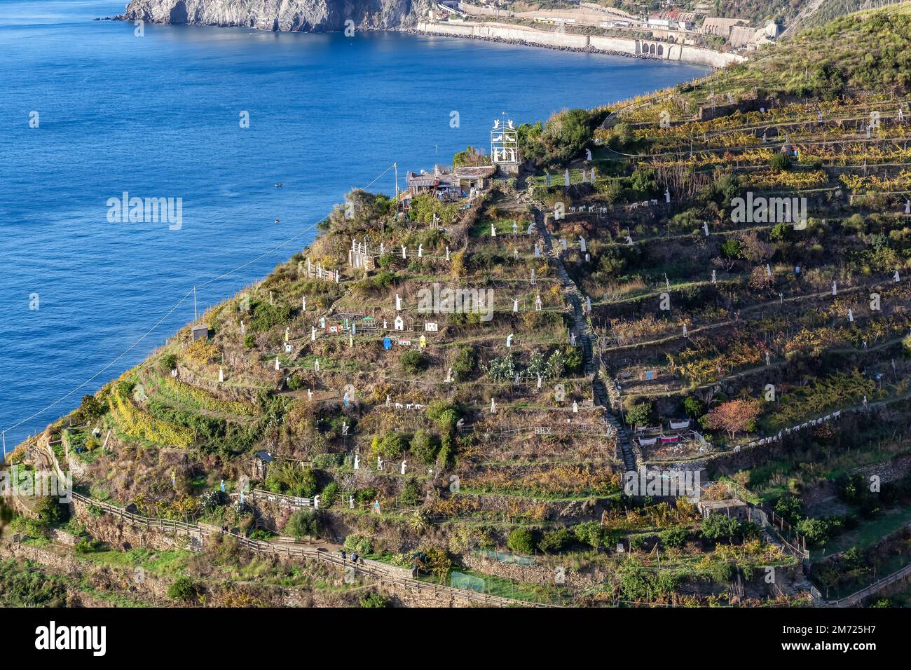 Small touristic town on the coast and farmland, Manarola, Italy. Cinque Terre Stock Photo