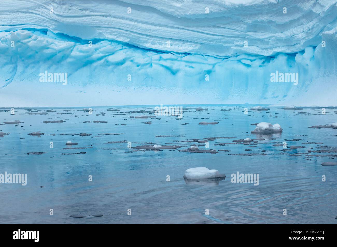 Large Icebergs float in the still water in Antarctica, with blue glacier ice and layers of snow. Stock Photo