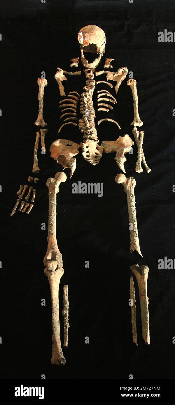 Skeleton of prehistoric human that was discovered in Batujaya, Karawang, West Java, Indonesia. Photographed at the office of Indonesia's National Archaeology Research Institute in South Jakarta, Jakarta, Indonesia. Stock Photo