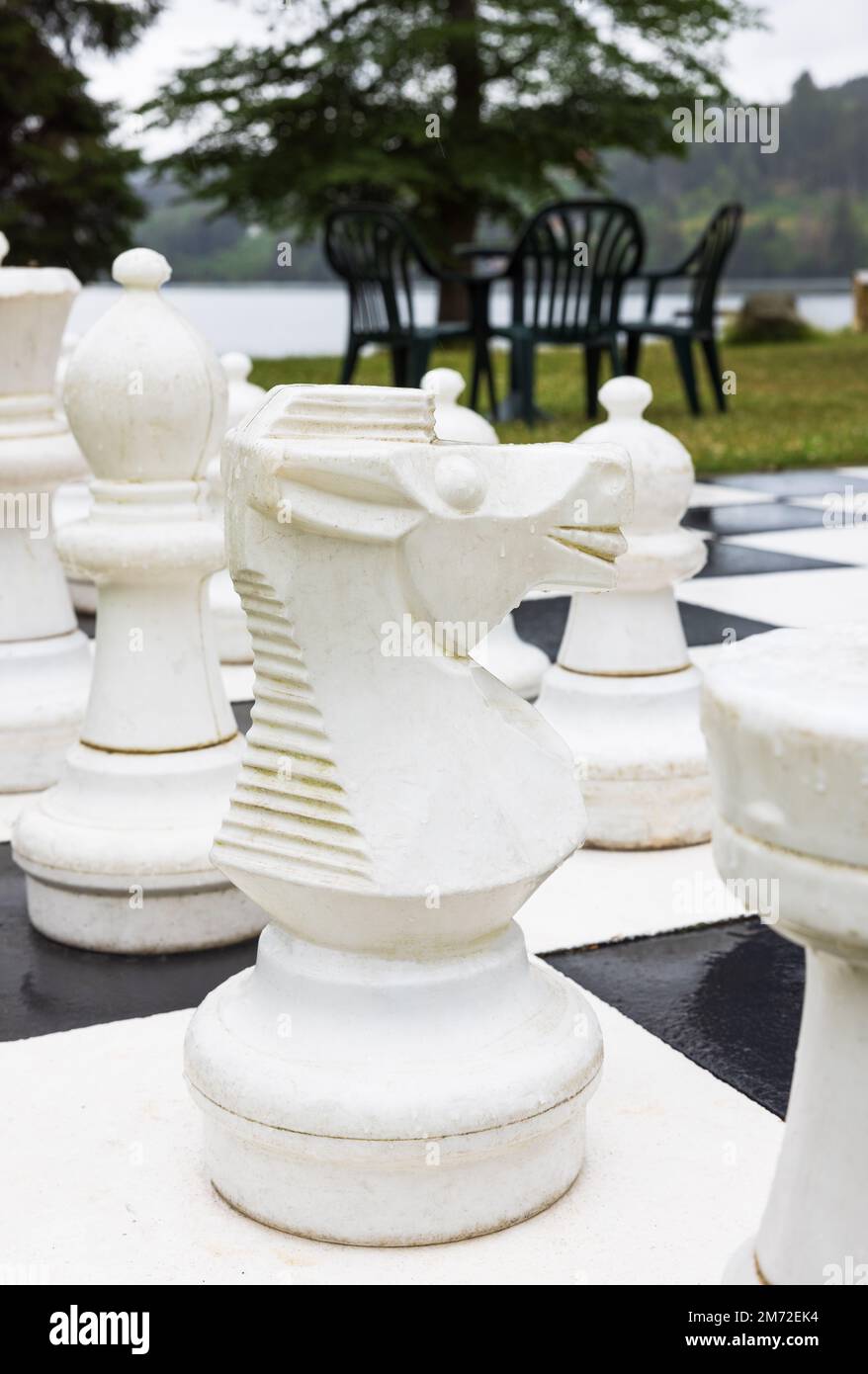 Chess Game in a Street Open Competition. Stock Image - Image of wood,  challenge: 279429957