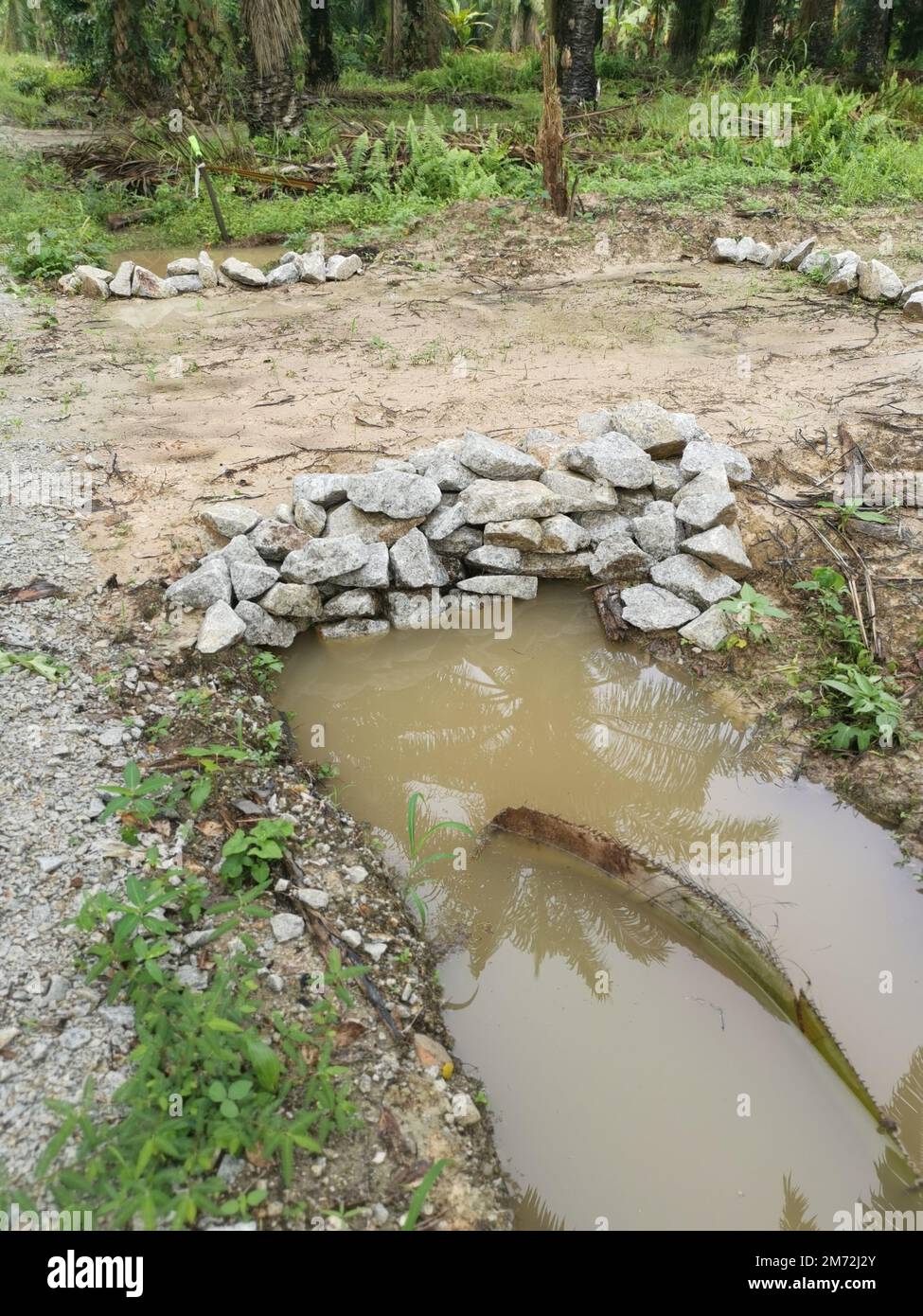 drainage along the palm oil plantation Stock Photo Alamy