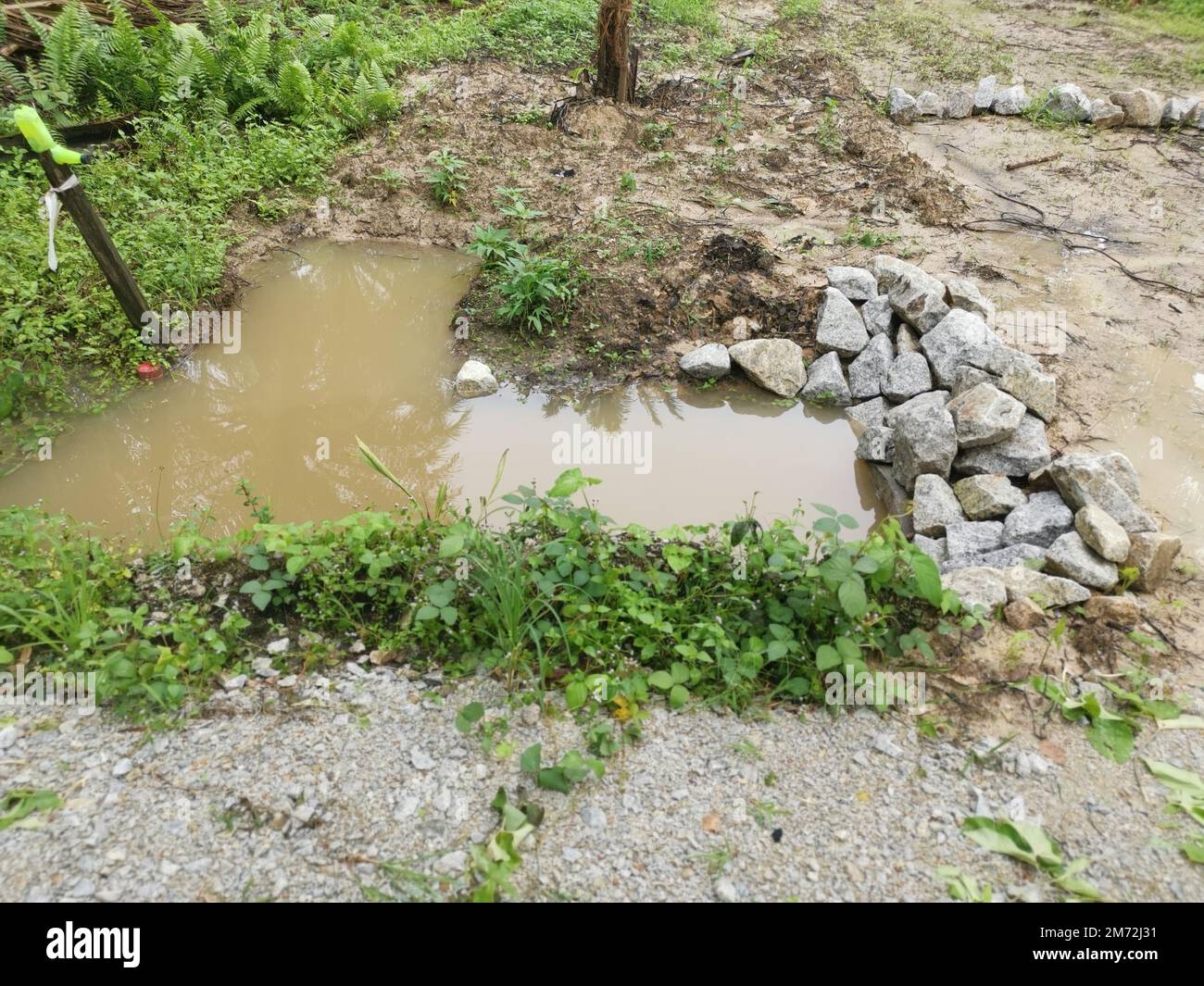 drainage along the palm oil plantation Stock Photo Alamy