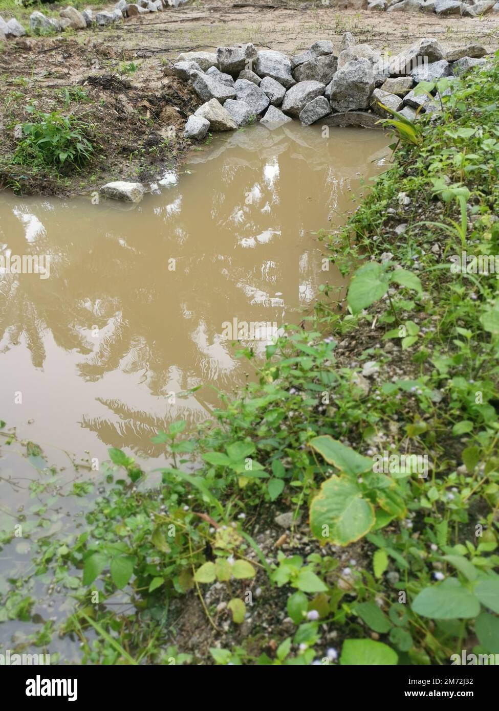 drainage along the palm oil plantation Stock Photo Alamy