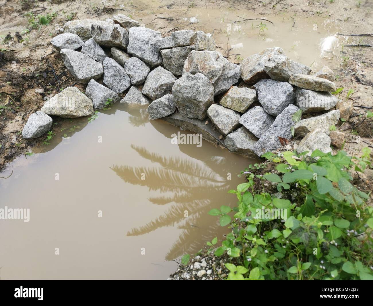 drainage along the palm oil plantation Stock Photo Alamy