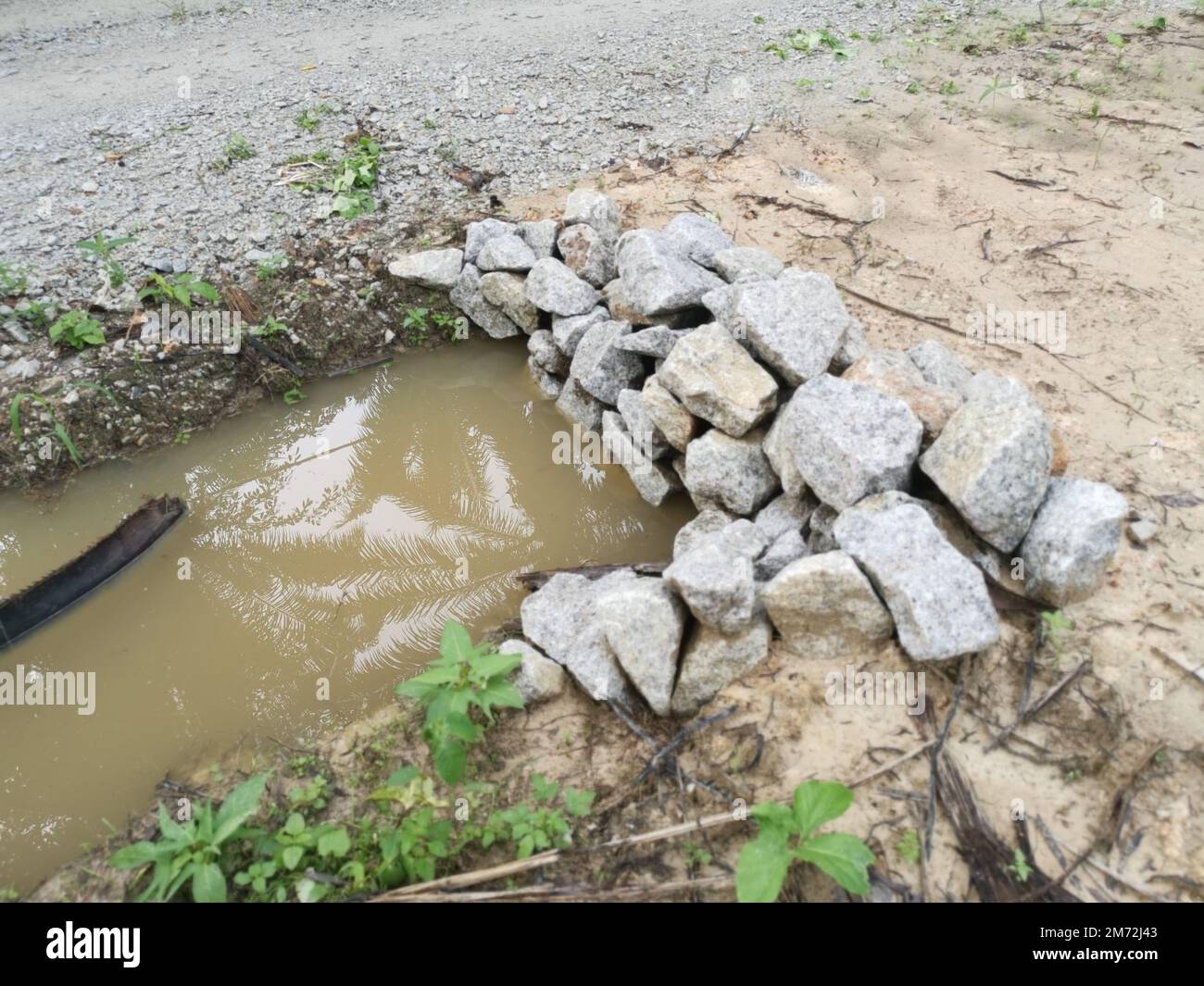 drainage along the palm oil plantation Stock Photo Alamy