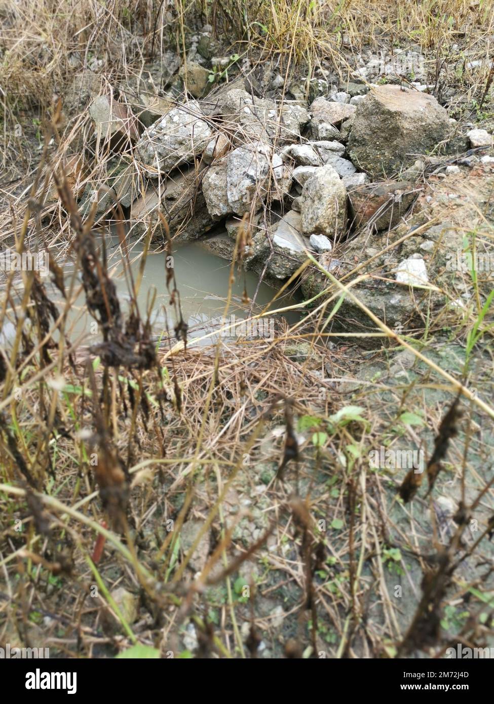 drainage along the palm oil plantation Stock Photo Alamy