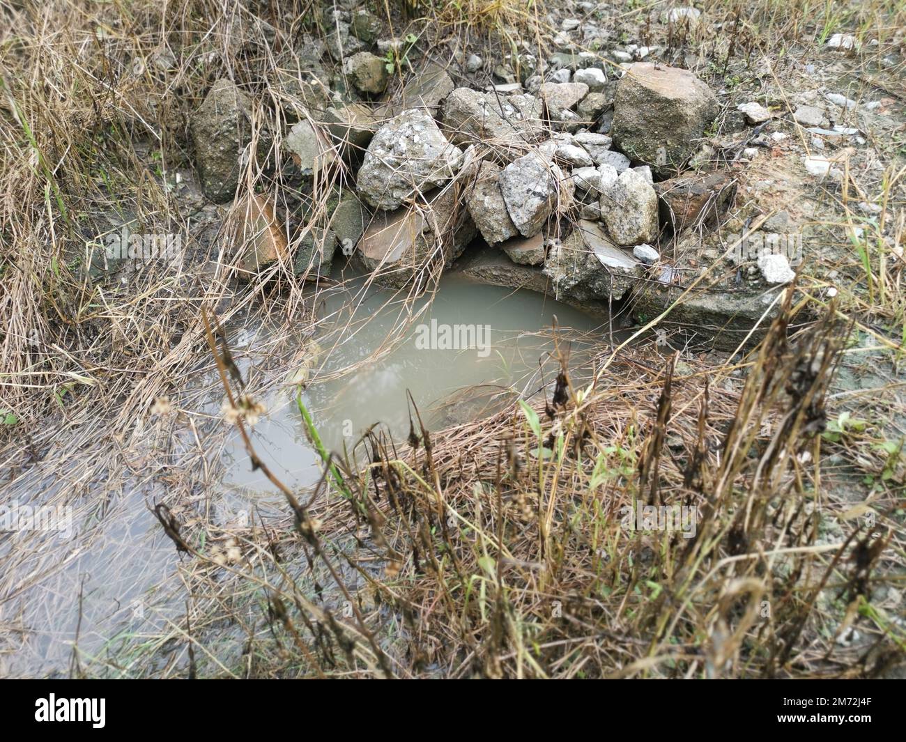 drainage along the palm oil plantation Stock Photo Alamy