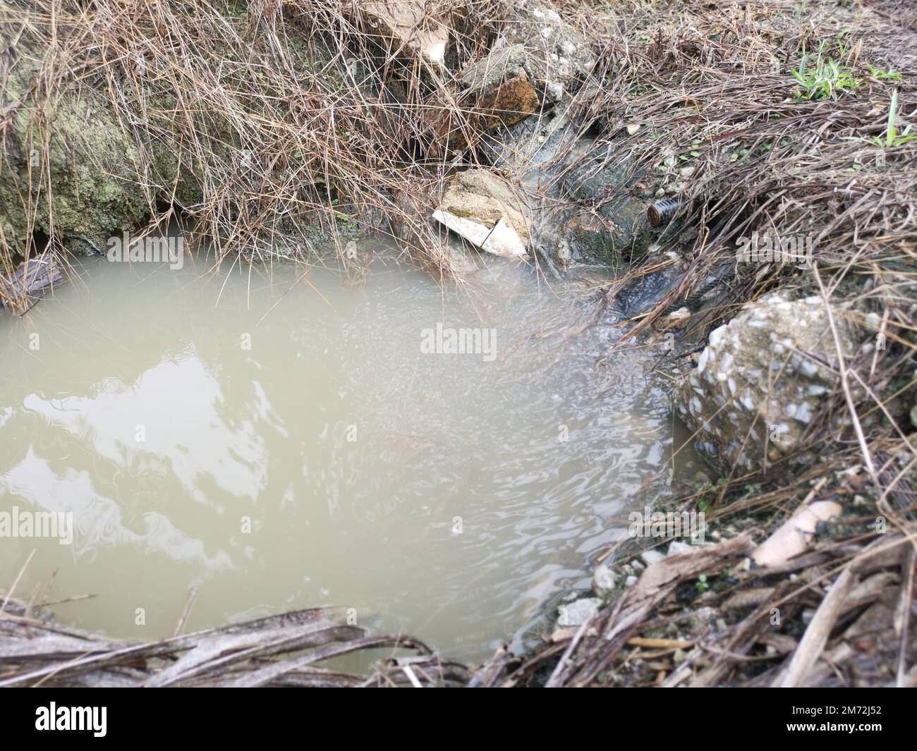 drainage along the palm oil plantation Stock Photo Alamy