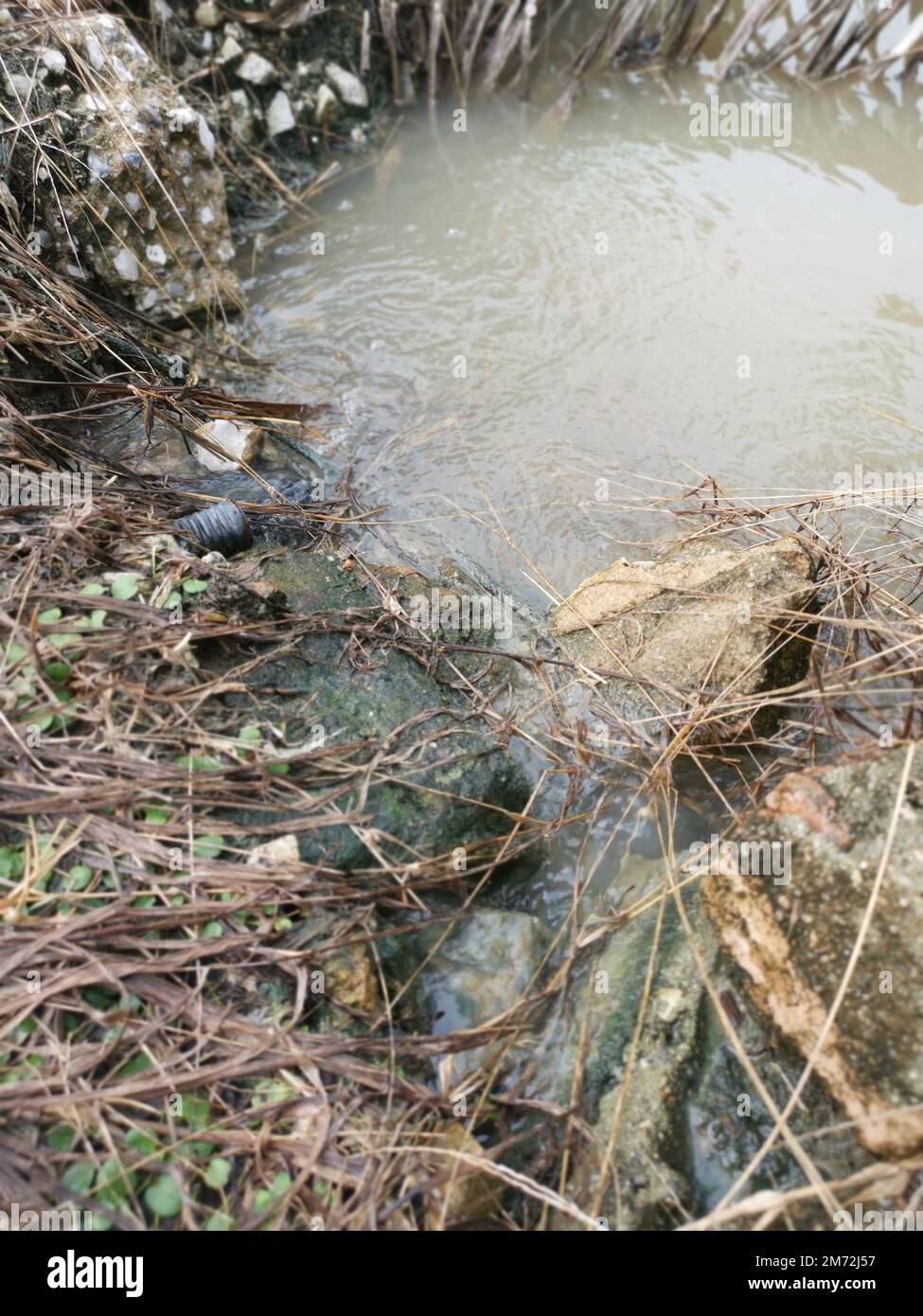 drainage along the palm oil plantation Stock Photo Alamy
