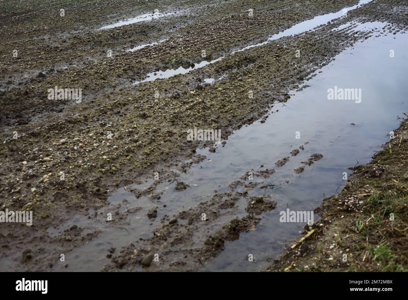 Puddle  in a cultivated field seen up close Stock Photo
