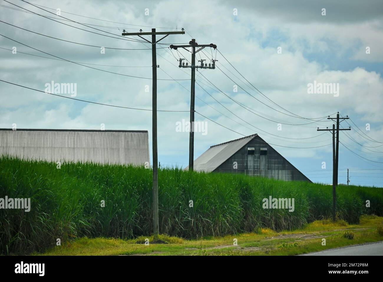 The power poles next to the road under a cloudy sky Stock Photo - Alamy