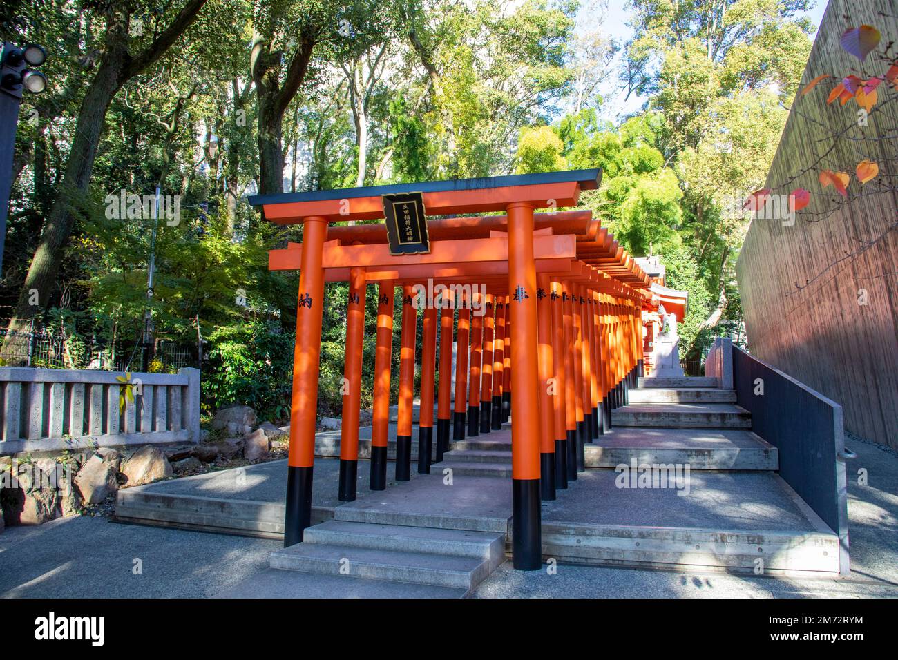 Kobe Japan Dec 6th 2022: The Red torii along a path at the the Inari Ōkami in Ikuta Shrine. The shrine is possibly among the oldest shrines Stock Photo