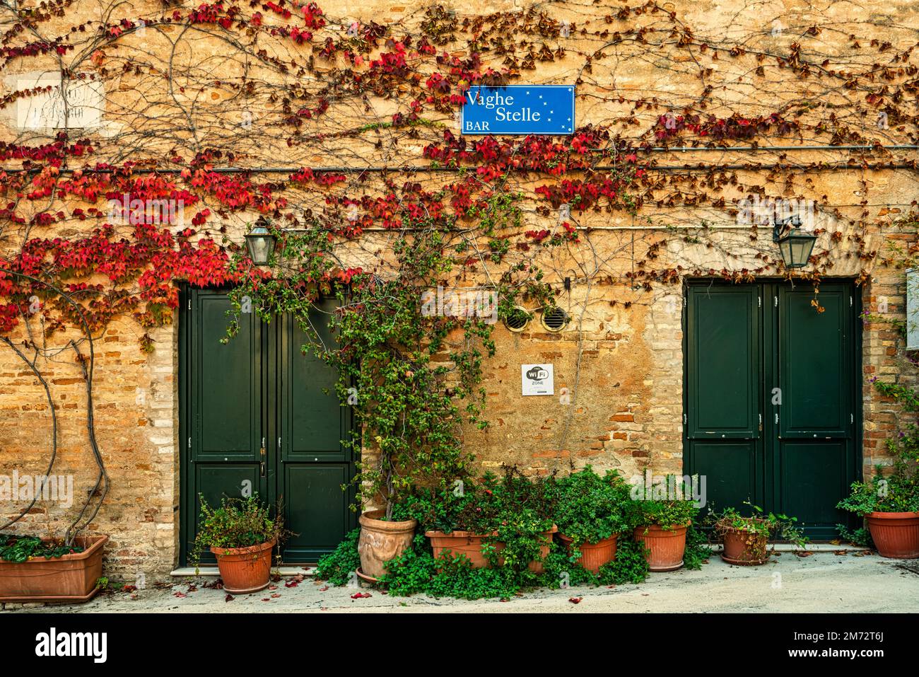 Red vines on the brick facade of the 'Vaghe Stelle' Bar from the film of the same name. The name takes up the incipit of Giacomo Leopardi. Recanati Stock Photo