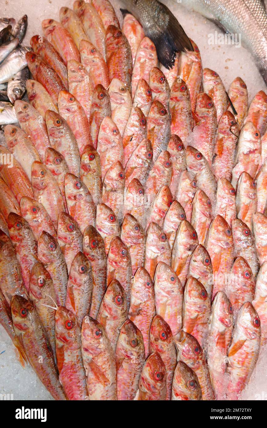 fresh fish on the market Stock Photo Alamy