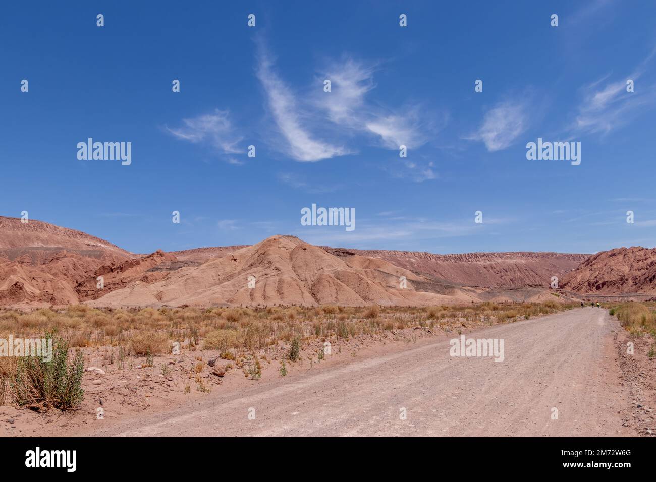 Unpaved Path Unpaved path crossing a scenic dry valley through Atacama, the most ...