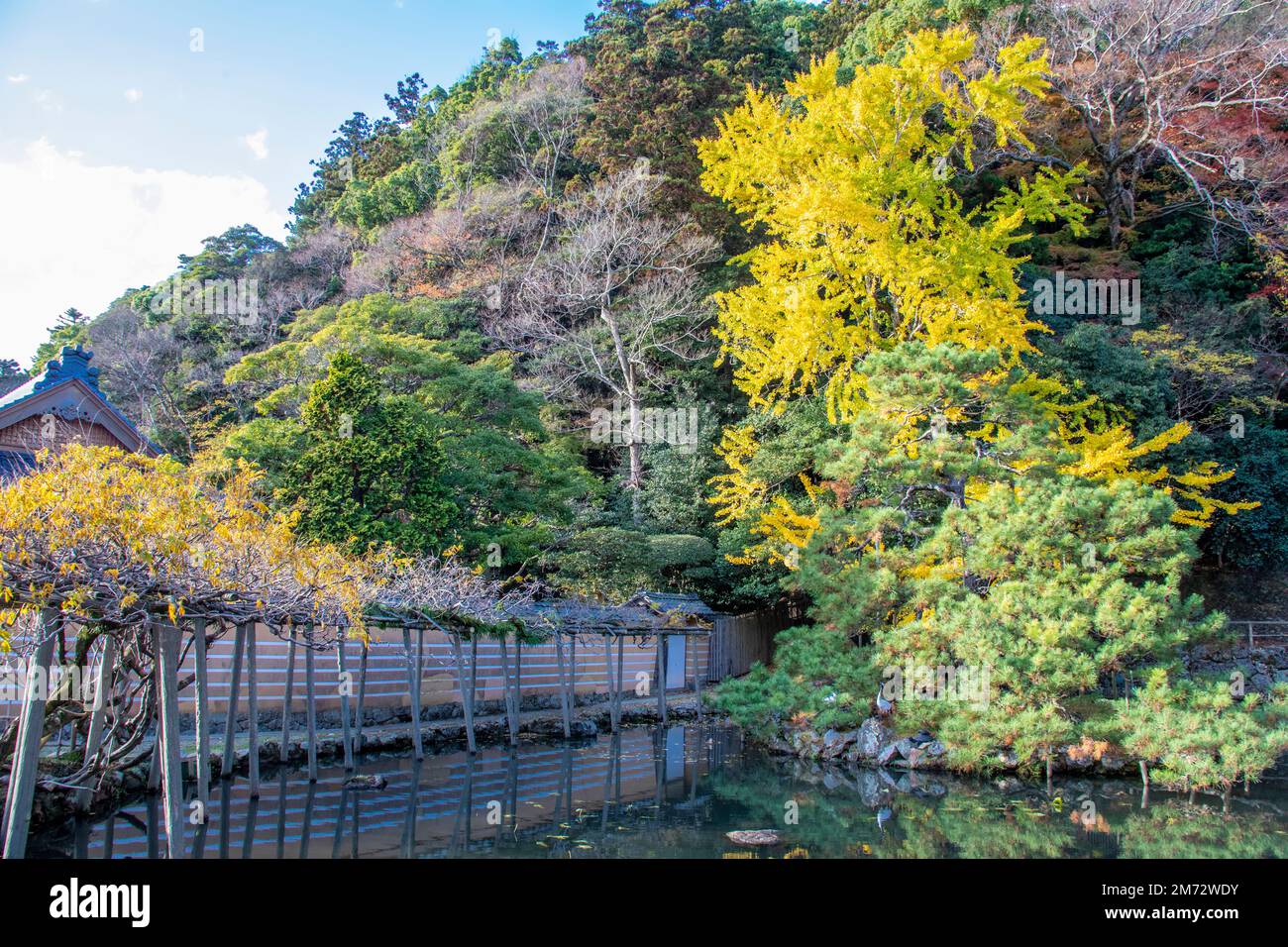 the autumn view of pond of mirror in shrine Izumo-taisha in Izumo, Shimane Prefecture, one of the most ancient and important Shinto shrines in Japan. Stock Photo