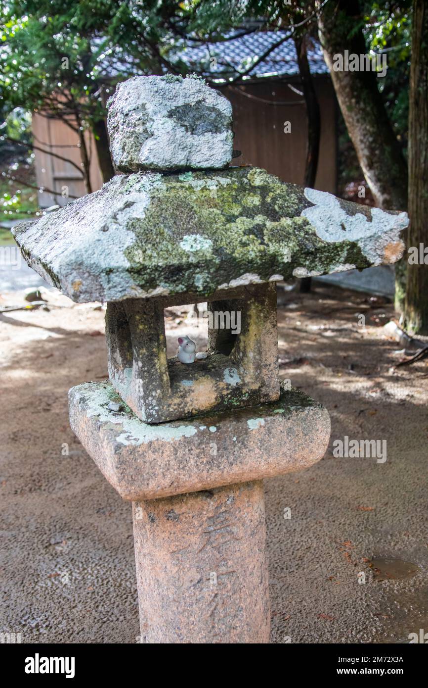 The stone lantern in Hakuto Shrine Tottori Japan. There is white rabbit statue and white stone (Musubi Ishi) inside for wish Stock Photo