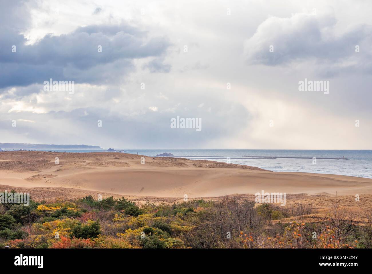 The autumn view of Tottori Sand Dunes, located outside the city center of Tottori in Tottori Prefecture, Japan. The backgroud is Sea of Japan. Stock Photo