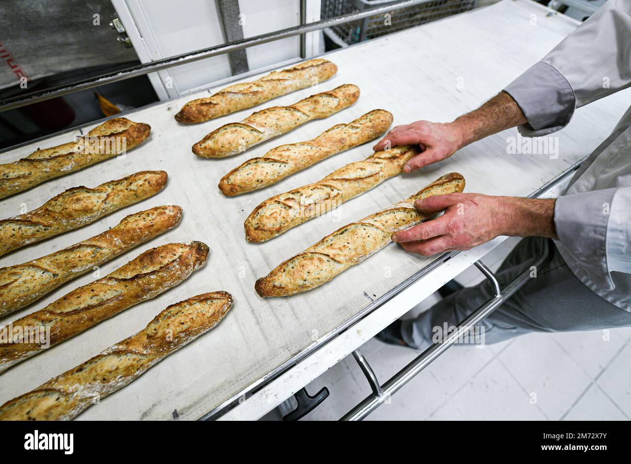 Illustration picture shows a French baker loading baguettes (French stick baguette) in a bakery
