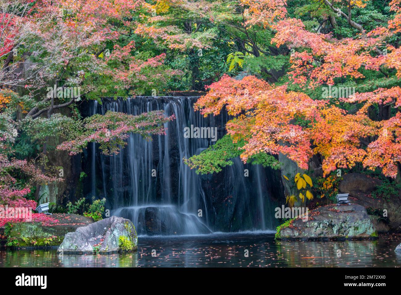 the beautiful autumn view of pond with a waterfall in Kokoen, is a  relatively recently constructed Japanese style garden, it is next to Himeji  Castle Stock Photo - Alamy