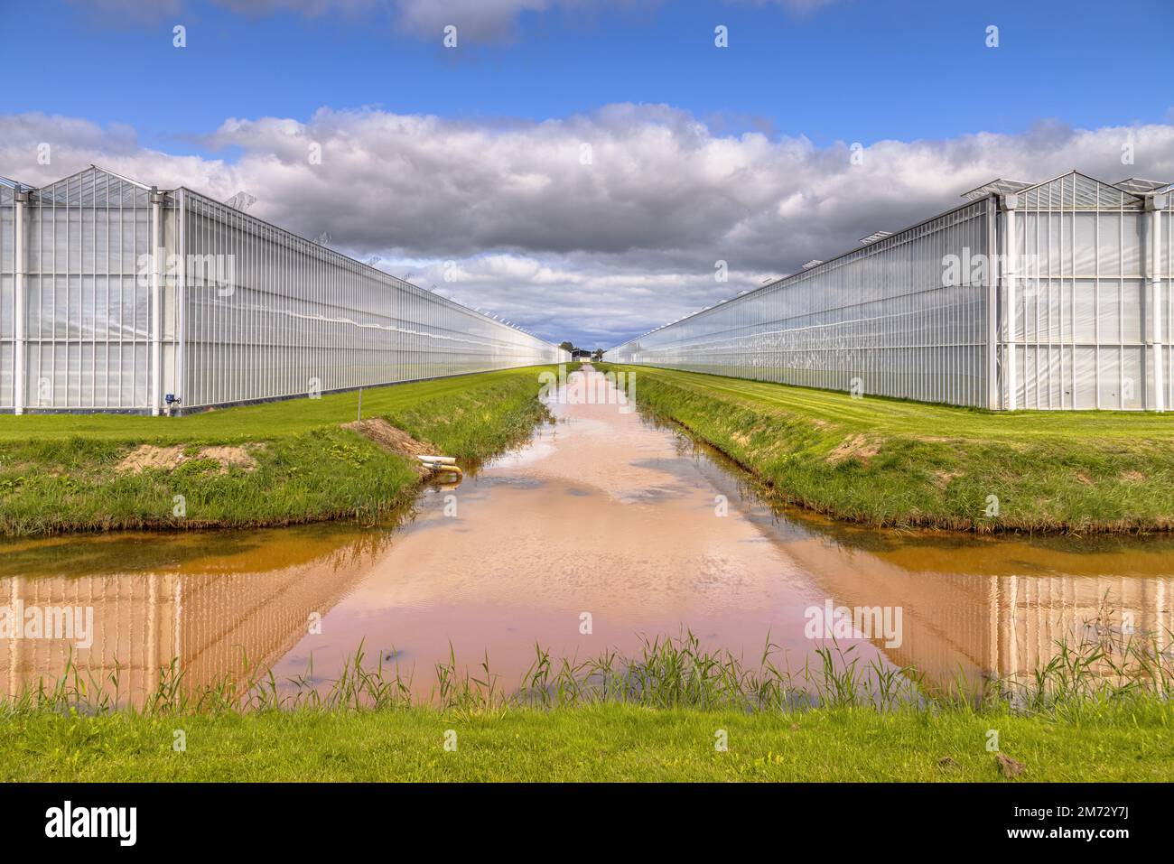 Greenhouse industrial exterior in the Netherlands. Food farming industry with giant buildings. Stock Photo