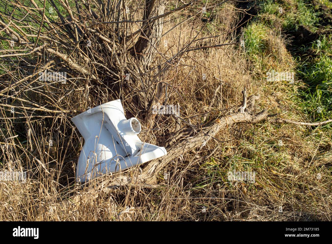 Ceramic toilet seat thrown under a willow tree Stock Photo