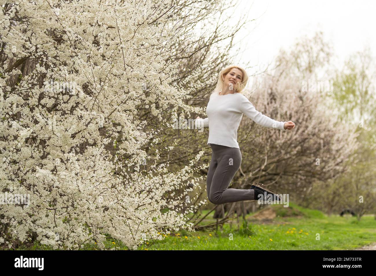 beautiful young woman in blooming cherry blossoms garden Stock Photo ...
