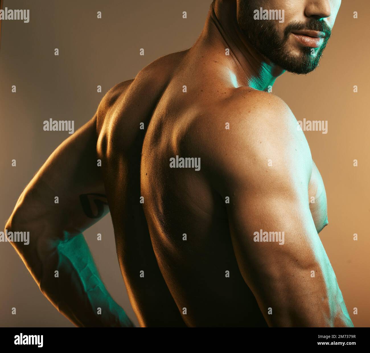 Man, body or back muscles on studio background with creative light aesthetic, training goals or workout progress. Zoom, skin or bodybuilder fitness Stock Photo
