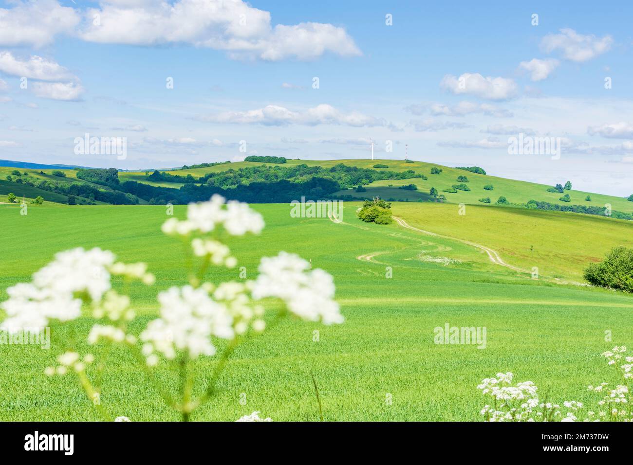 Vrbovce: hills of White Carpathians (Biele Karpaty), field in White Carpathians (Biele Karpaty), , Slovakia Stock Photo