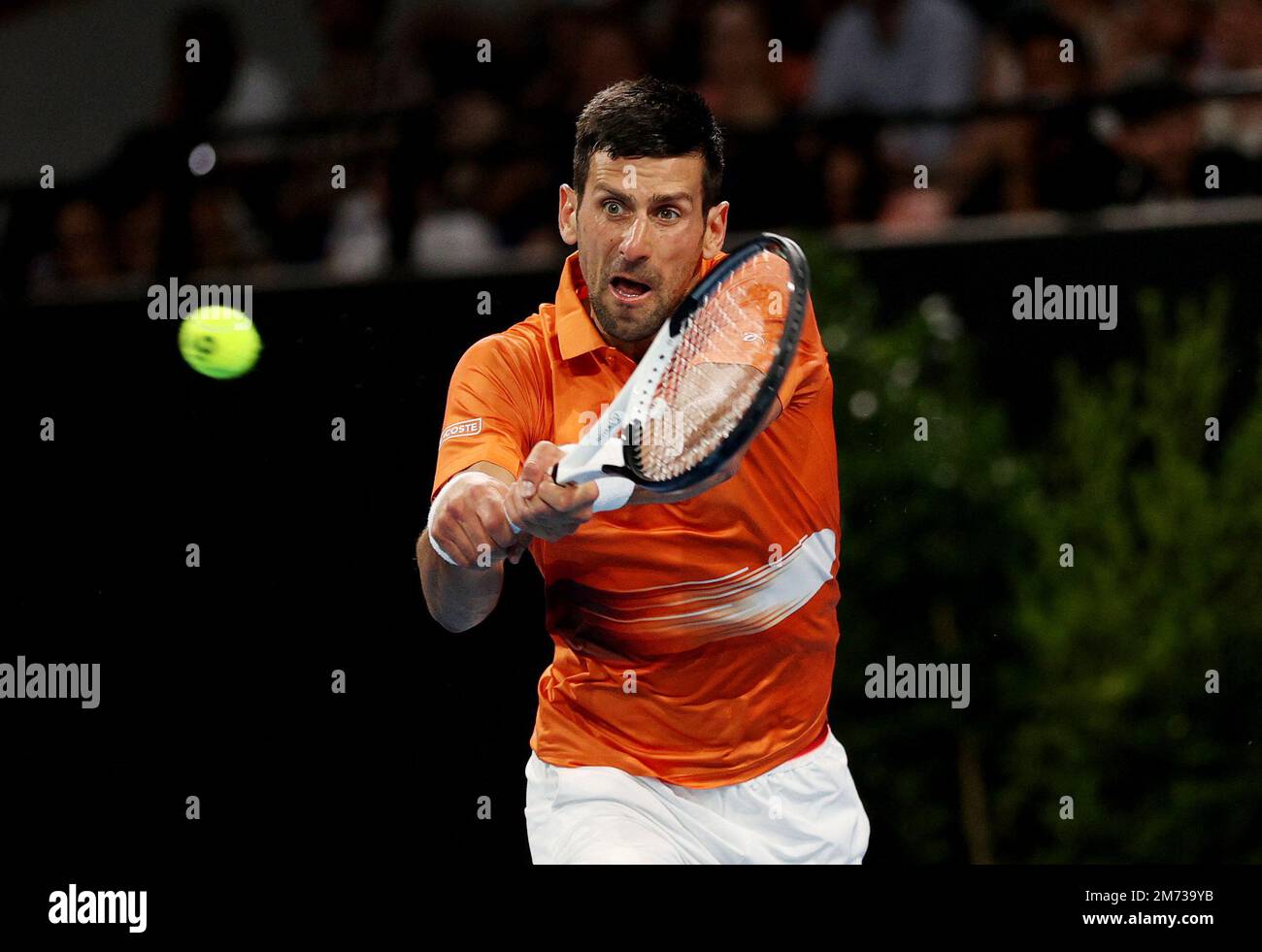 Tennis - Adelaide International - Memorial Drive Tennis Club, Adelaide,  Australia - January 7, 2023 Serbia's Novak Djokovic in action during his  semi final match against Russia's Daniil Medvedev REUTERS/Loren Elliott  Stock Photo - Alamy