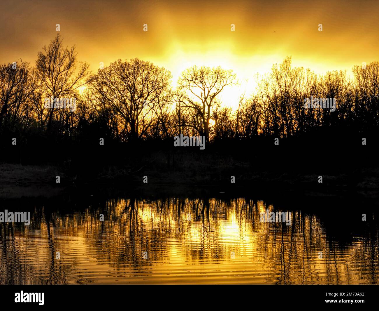 A beautiful shot of tree silhouettes surrounding a lake during the ...
