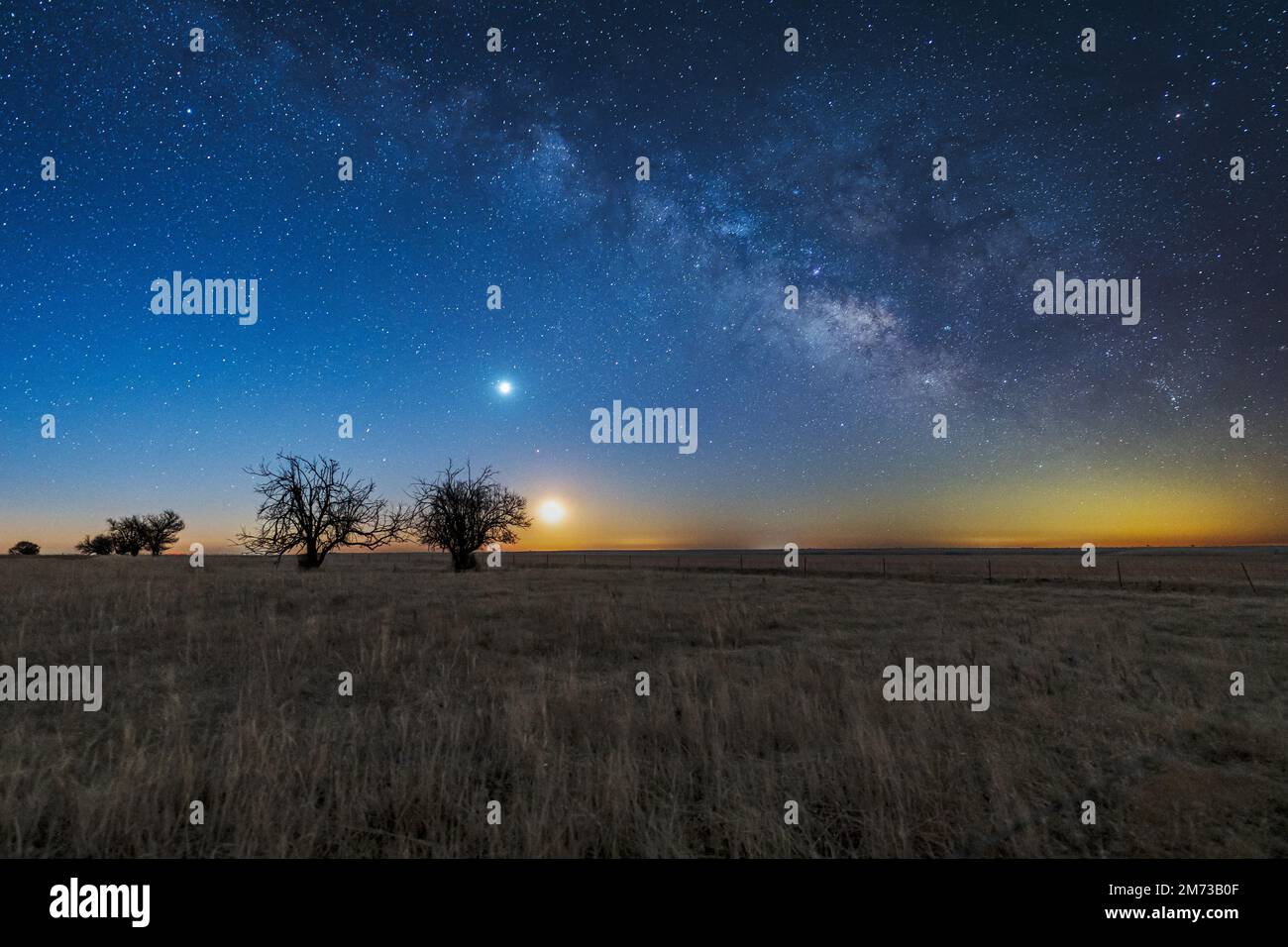 A beautiful shot of a field under a starry sky Stock Photo - Alamy