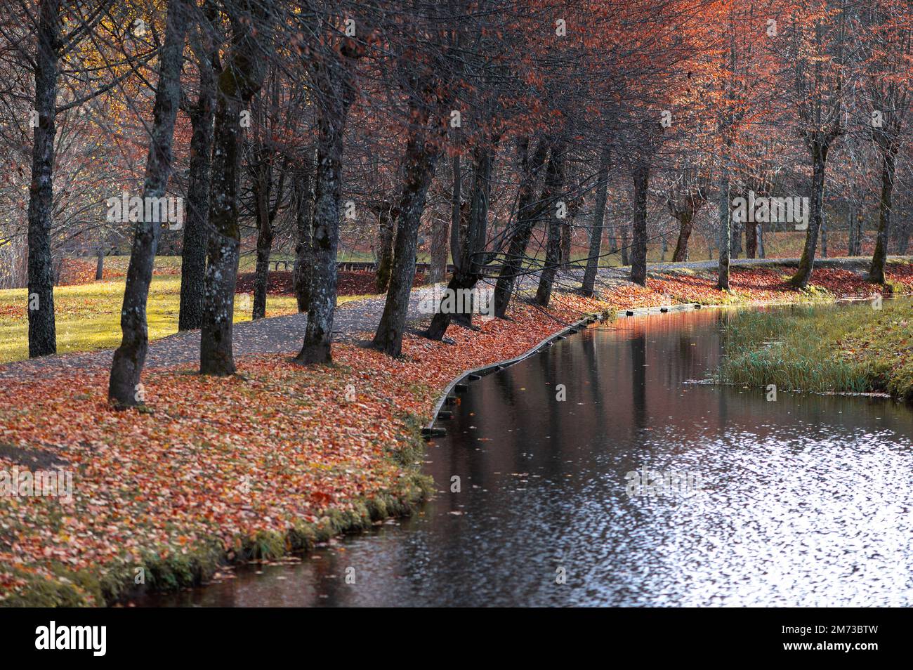 An alley of autumn trees and a small stream in the city park Stock ...