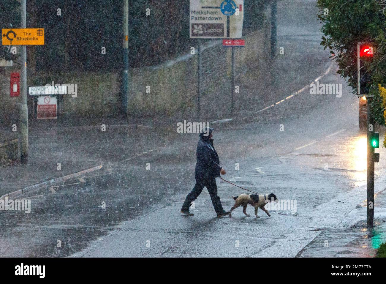Chippenham, Wiltshire, UK. 7th January, 2023. A man walking his dog is pictured braving heavy rain in Chippenham as heavy rain showers make their way across Southern England. Credit: Lynchpics/Alamy Live News Stock Photo