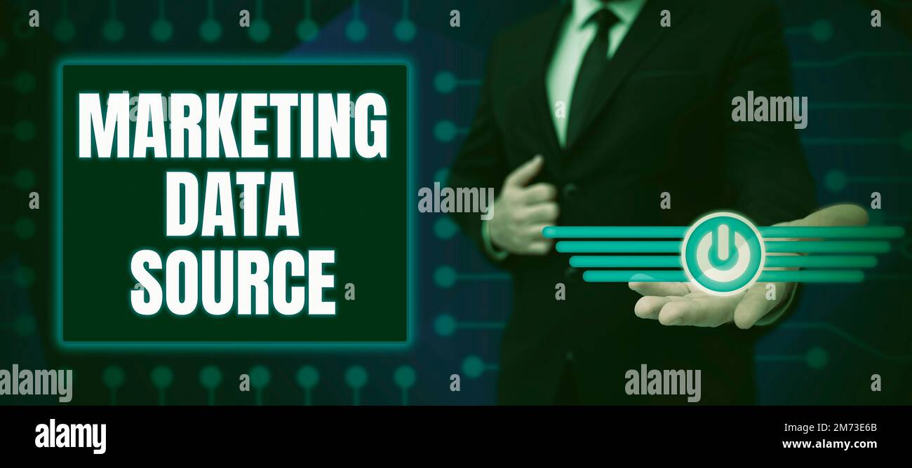 Conceptual display Marketing Data Source. Business overview connection set up to a database from a server Stock Photo