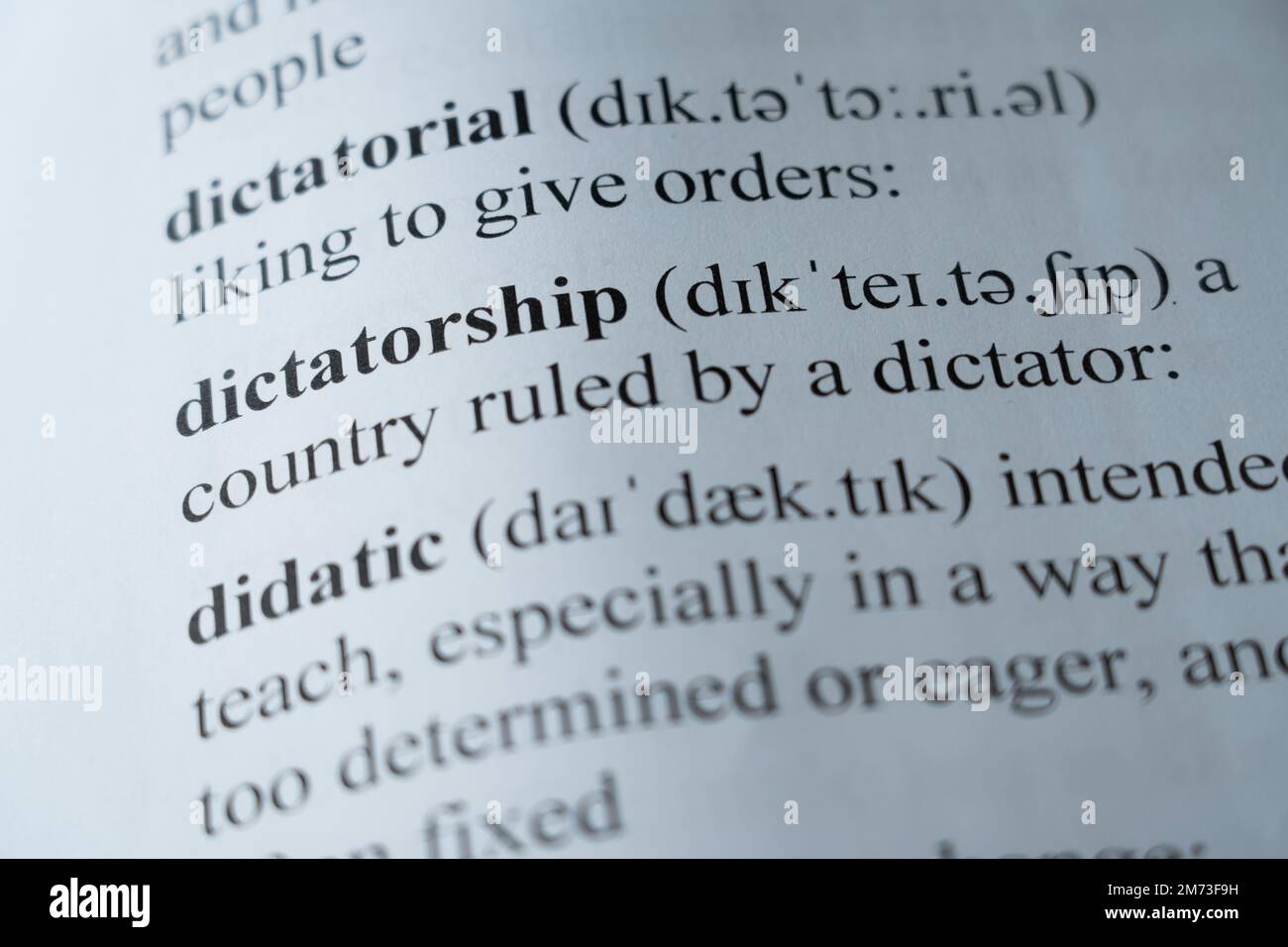 Close Dictionary Definition Blunder Stock Photo 1012717918