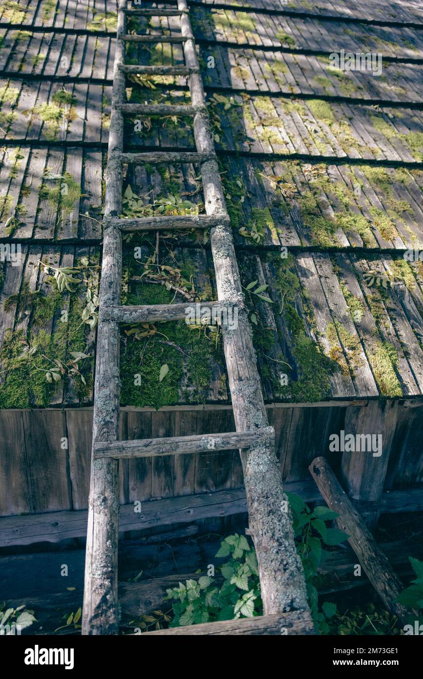 Ladder stair green board wooden hi-res stock photography and images - Alamy