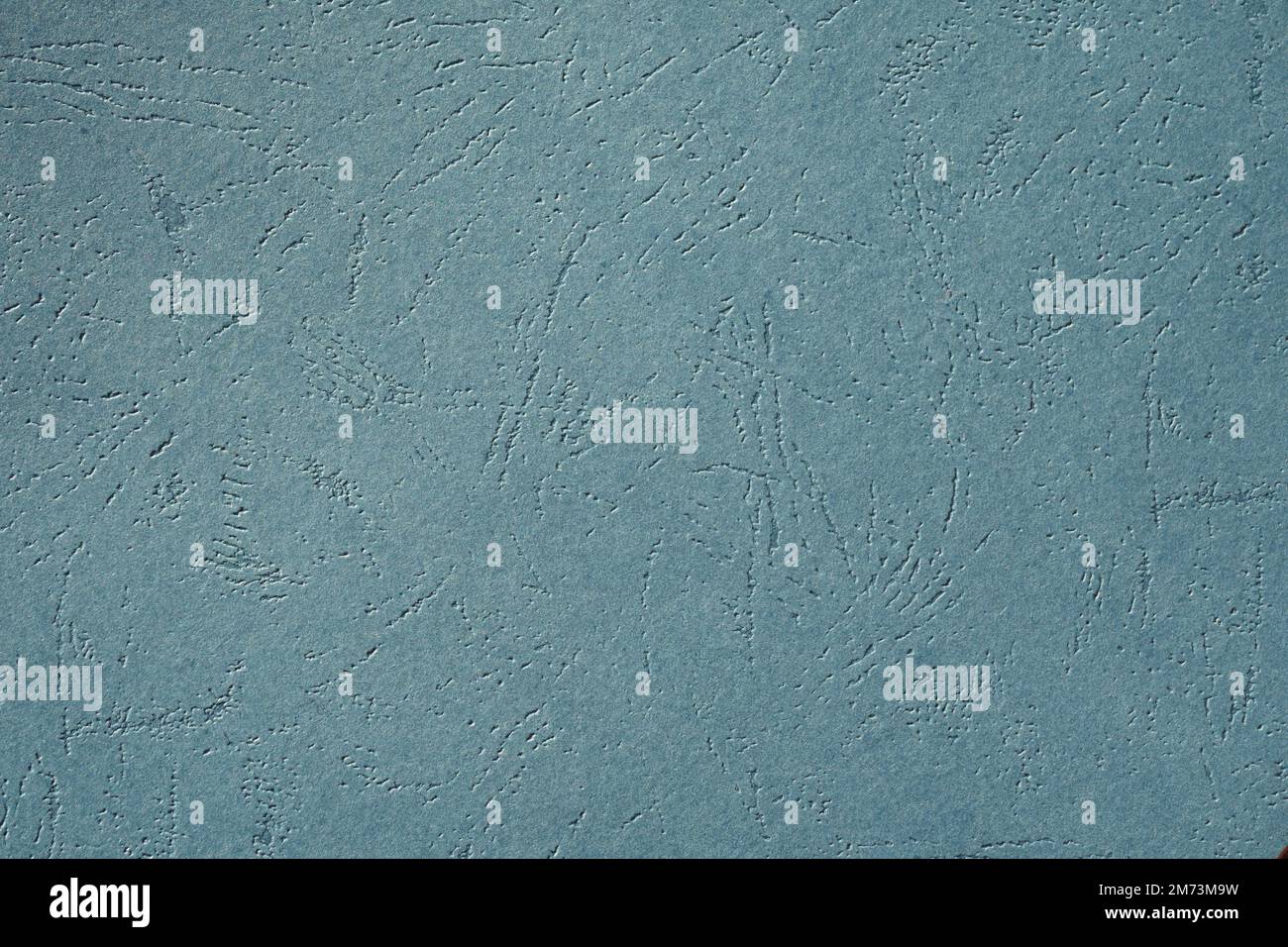 Closeup photo of cardboard sheet surface in gray color. Unicolor textured background. Stock Photo