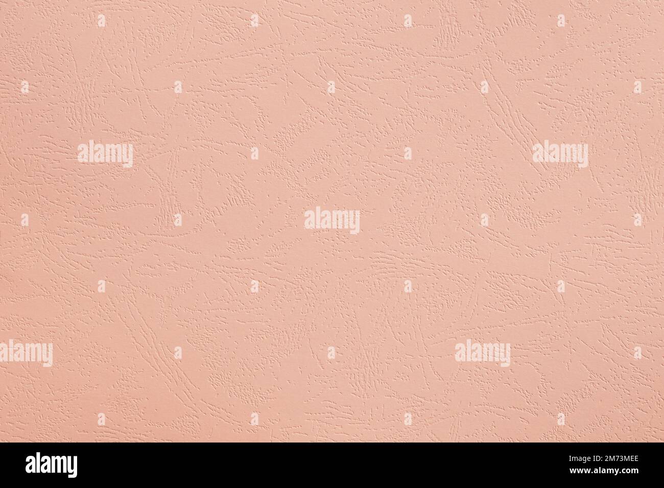Closeup photo of cardboard sheet surface in beige peach neutral color. Unicolor textured background. Stock Photo