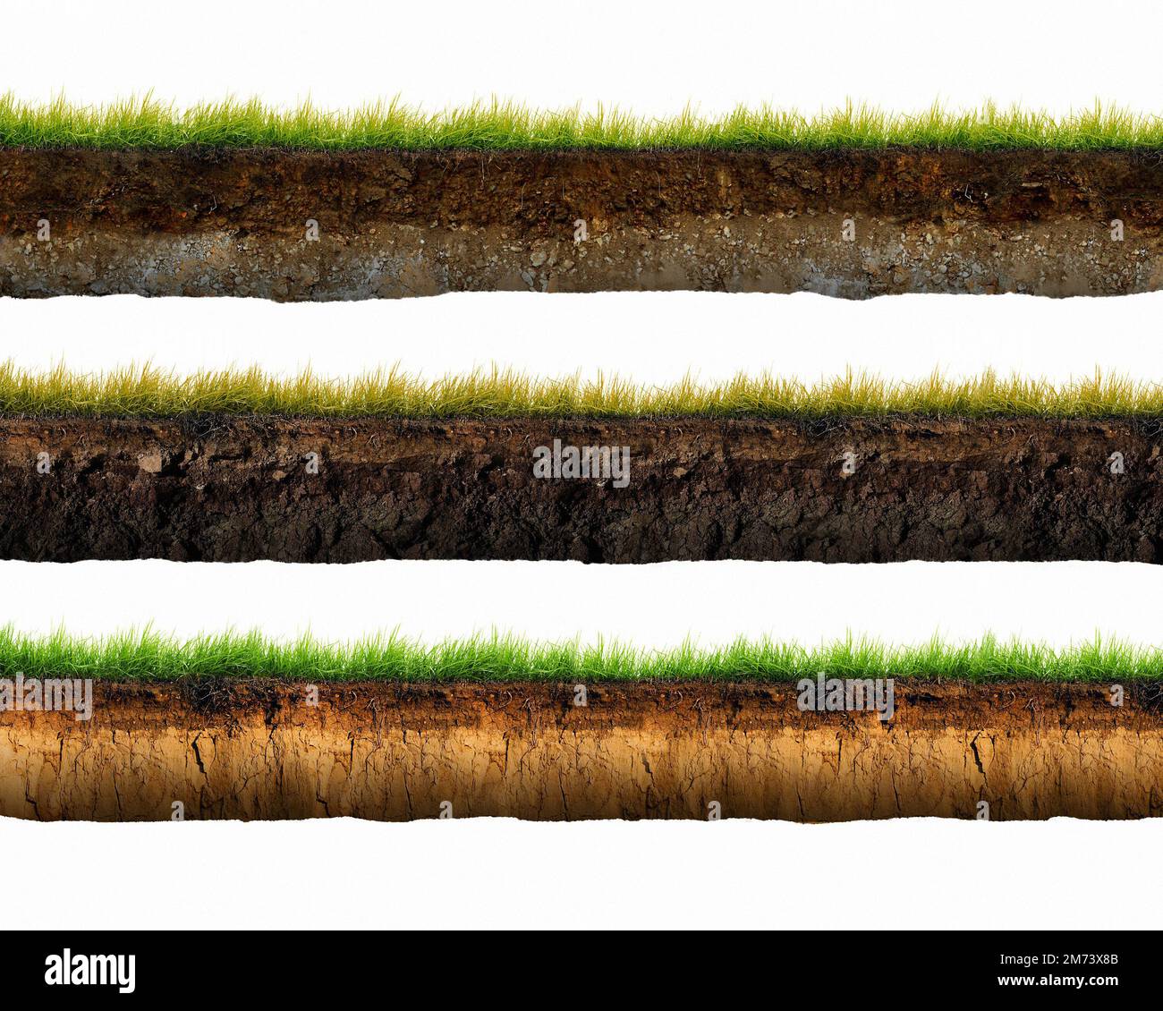 Three soil cut and grass isolated. 3d illustration, Cross section brown