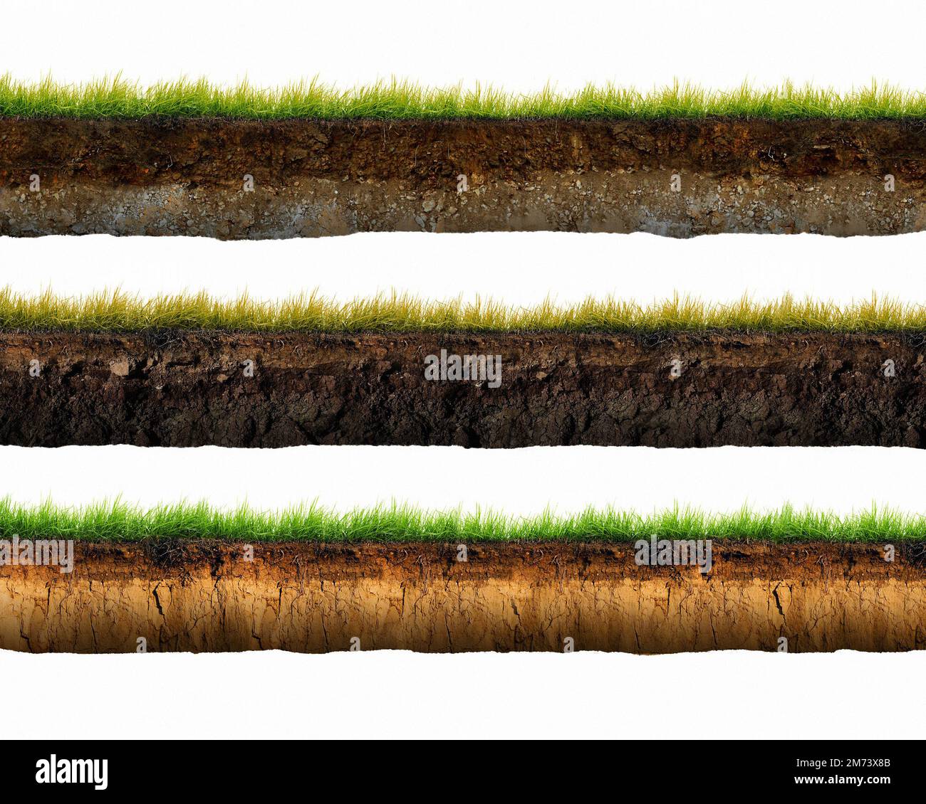 Three soil cut and grass isolated. 3d illustration, Cross section brown soil and green grass Stock Photo