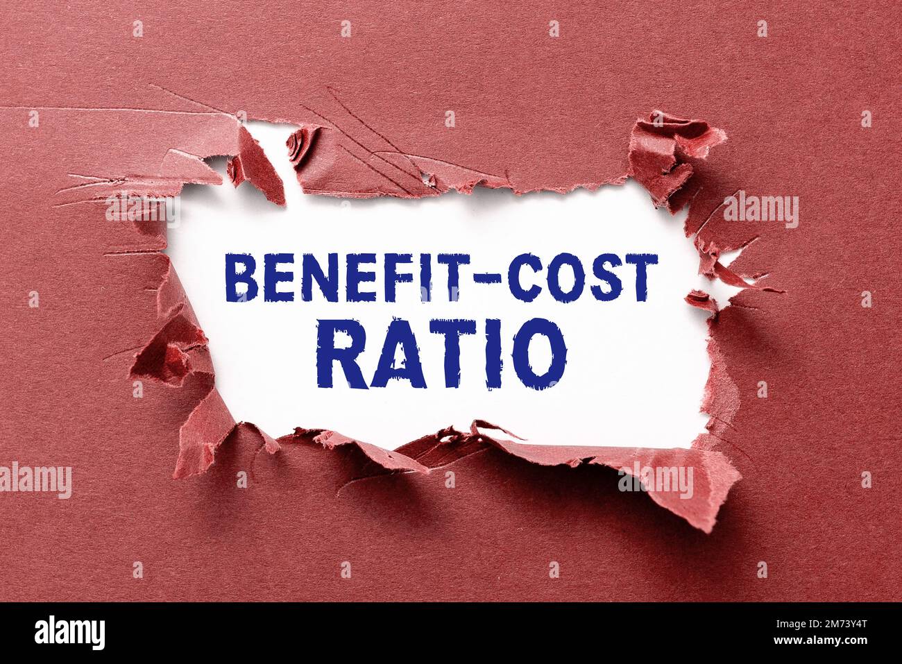 Text caption presenting Benefit Cost Ratio. Word for Relationship