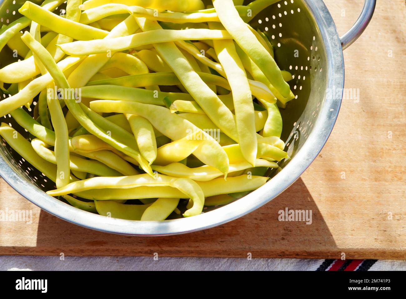 Closeup of fresh harvest yellow beans flat pods in stainless steel strainer on wooden trencher Stock Photo