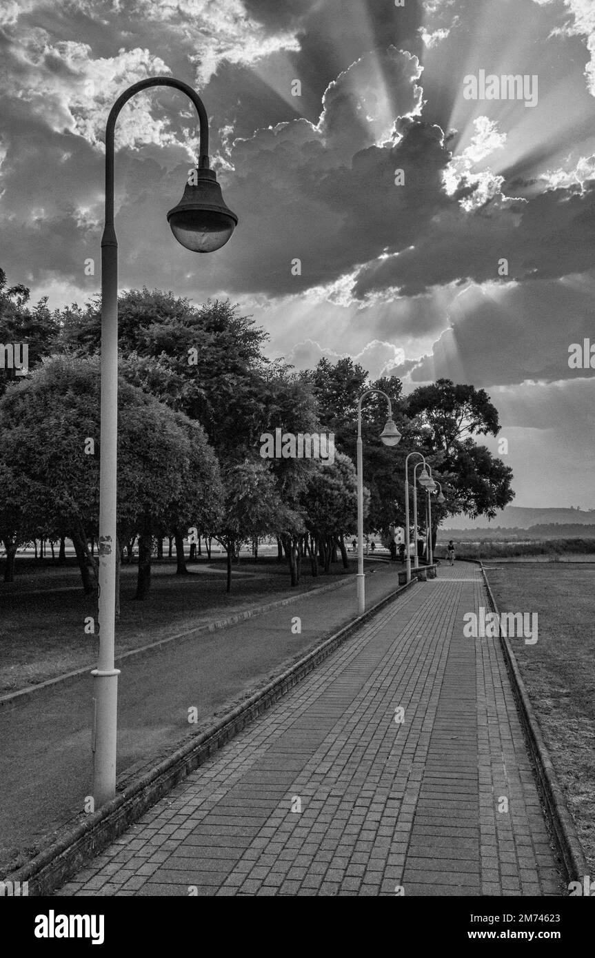Boardwalk in the town of Colindres. Cloudy sunset over the promenade of trees and lampposts in the Asón river marsh, Cantabria, Spain. black and white Stock Photo